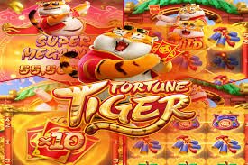 zk666 live casino table with real dealer streaming